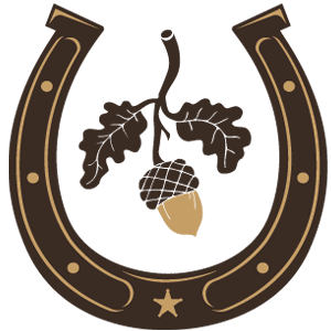 icon-bjr.png